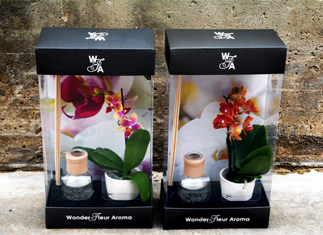 wonder-fleur-reed-diffuser-mini-pure=beauty-orchids-plainview-growers-1-800-flowers