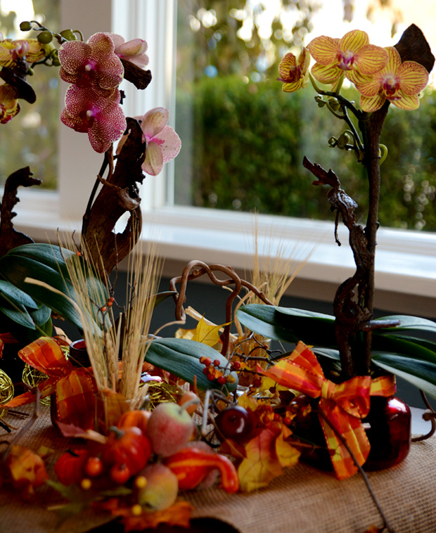 pure-beauty-orchids-fall-arrangement-1-800-flowers