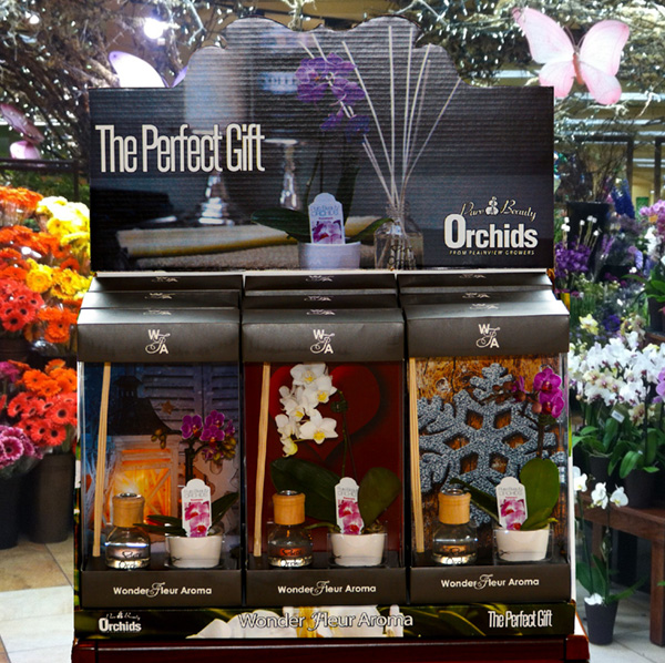 wonder-fluer-store-display-perfect-gift-orchids-1-800-flowers