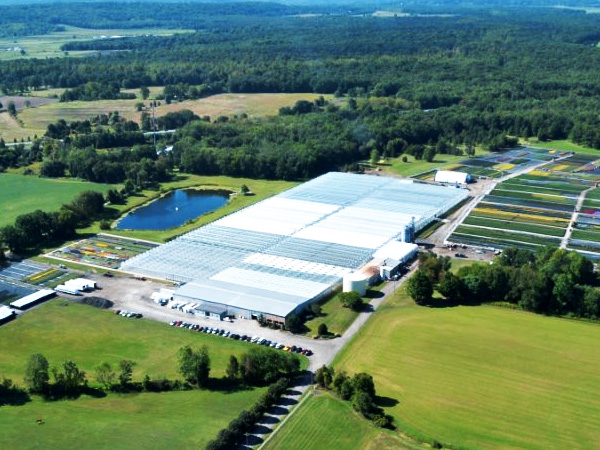 plainview-growers-allamuchy-facility