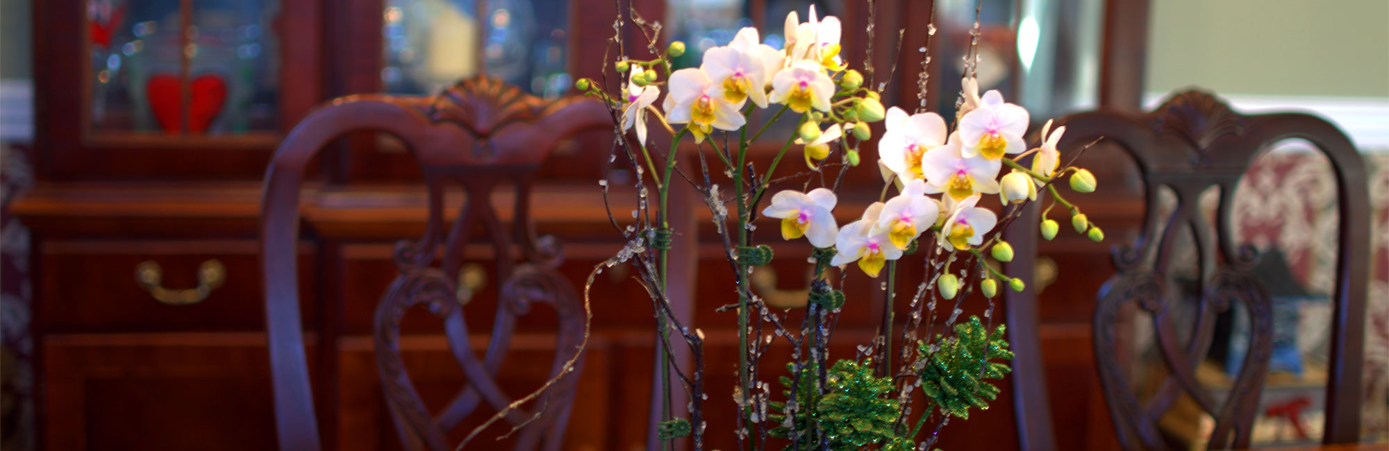 plainview-pure-orchids-pompton-plains-new-jersey-lifestyle
